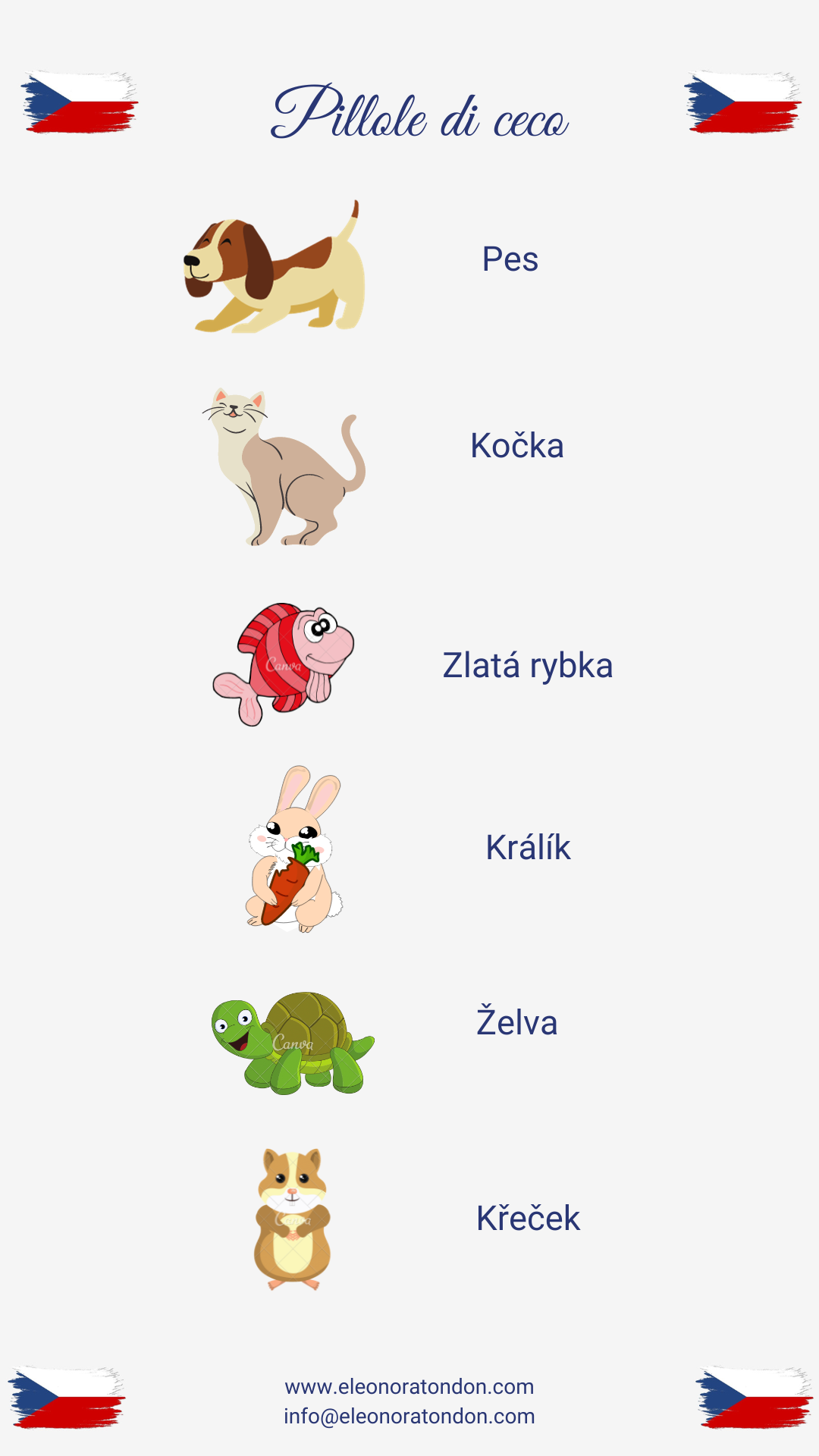 Animali domestici